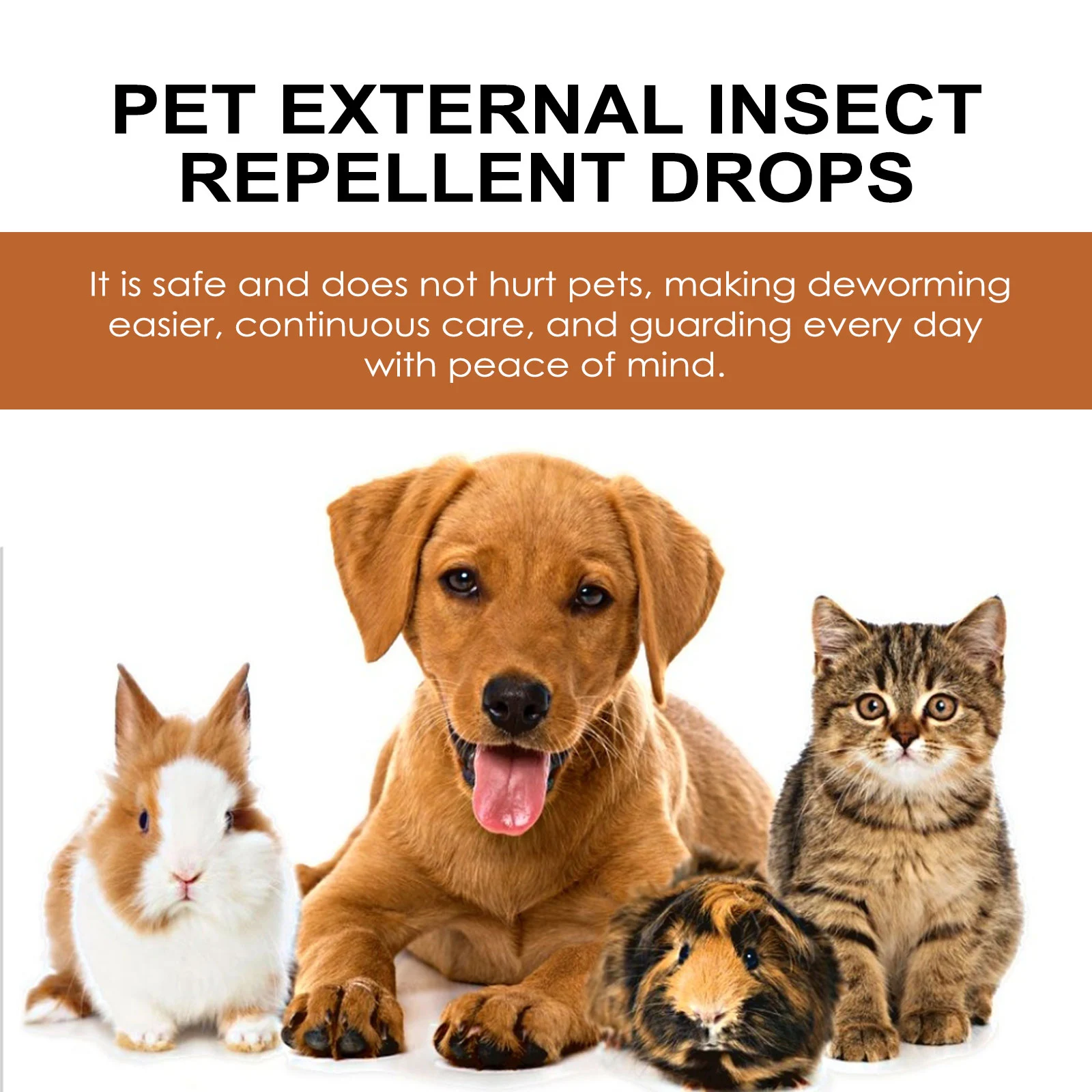 Cat Deworming Liquid: A Clear Answer to a Pressing Problem