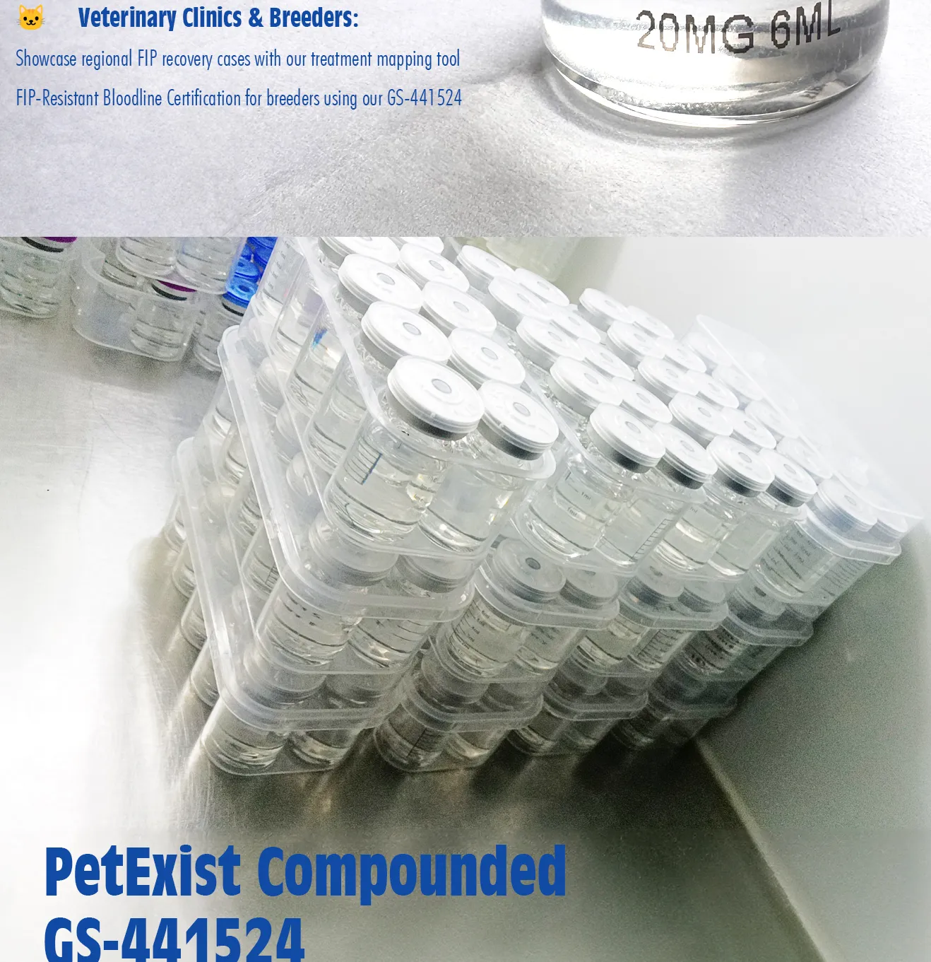 PetExist---Petexist---Buy-Online-GS-441524-Cat-FIP-Feline-Coronavirus-Treatment,-Pet-Armor-Flea-And-Tick,-Pet-Armor-Dewormer_10