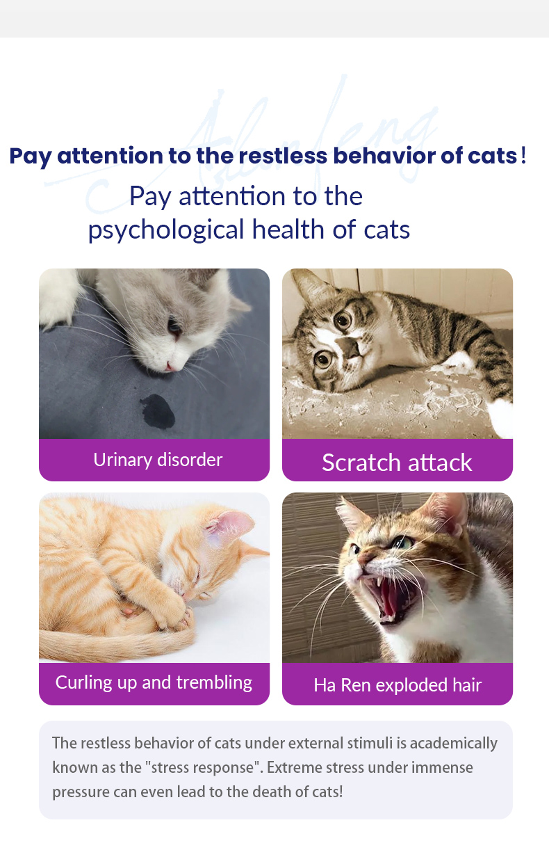 Soothing Spray for Cats: Natural Relief for Your Pet’s Stress