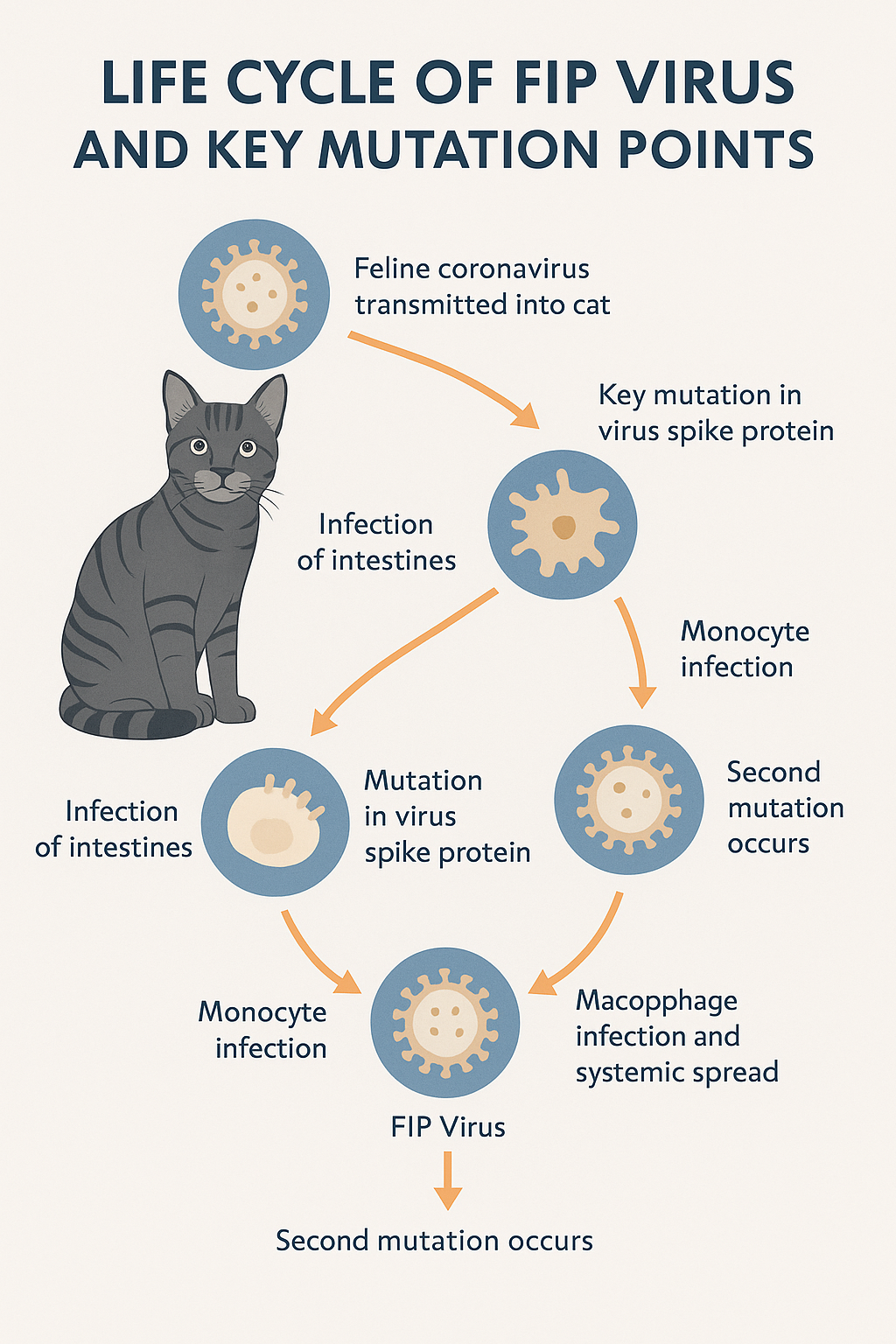 FIP in Cats: New Research, Real Cases, and What’s Working Now