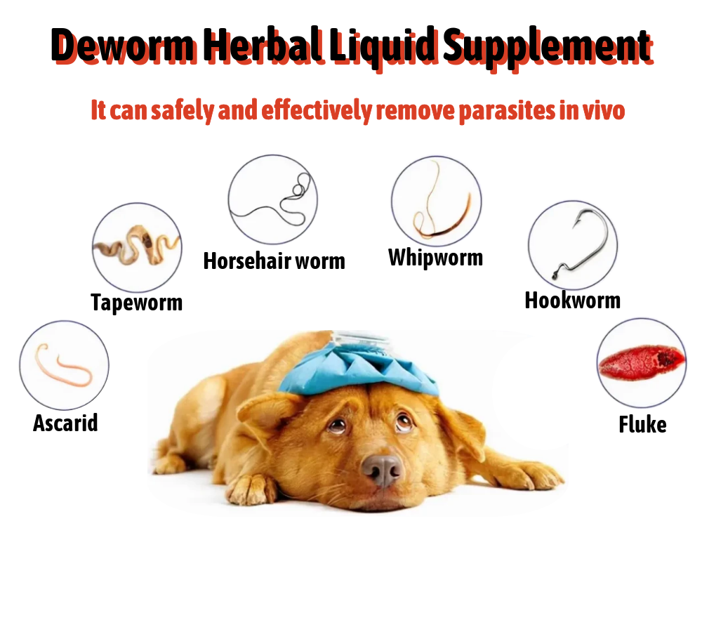 Nature Herbal Dog Liquid Dewormer From PetExist